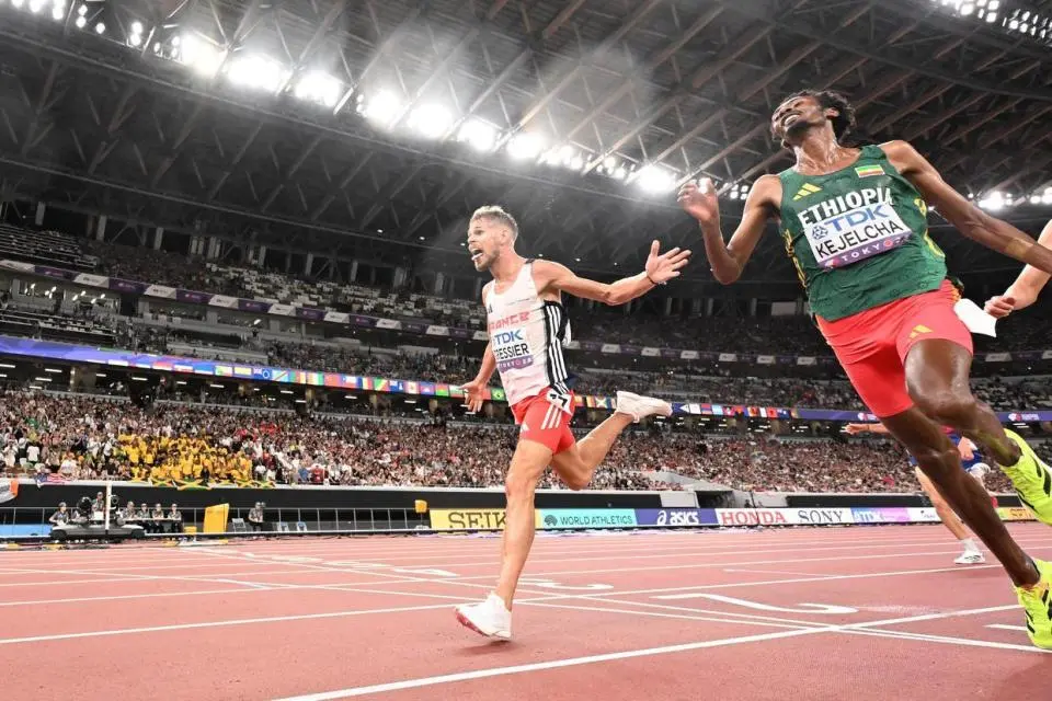 还创造了他, 维尔, 经过调查驳