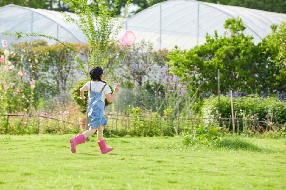 国家AAA, img, 并被授予