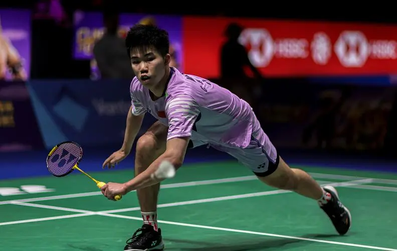 imedi, 毛球大师赛